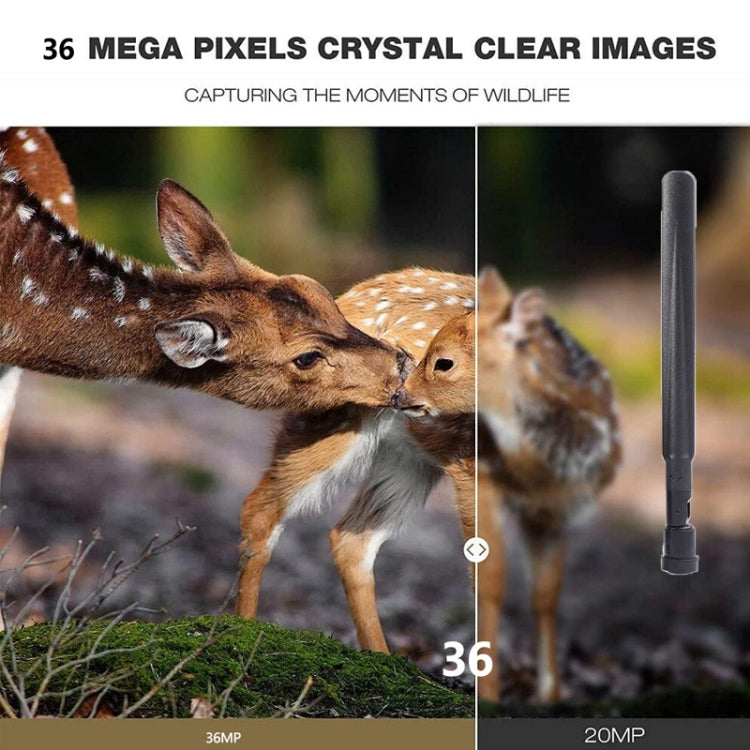 HC-801Pro 4K 4G Outdoor Hunting Camera App Remote Mobile Phone Control To View Photos And Video At Any Time, US Plug by bashfashion