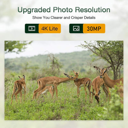 HC-801Pro 4K 4G Outdoor Hunting Camera App Remote Mobile Phone Control To View Photos And Video At Any Time, AU Plug by bashfashion