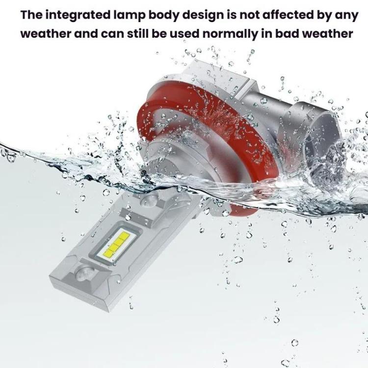 TBD06059236_B8.jpg@d7f5147505ff428c9a573e819349071f